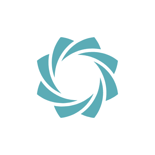 Ribionic Solutions