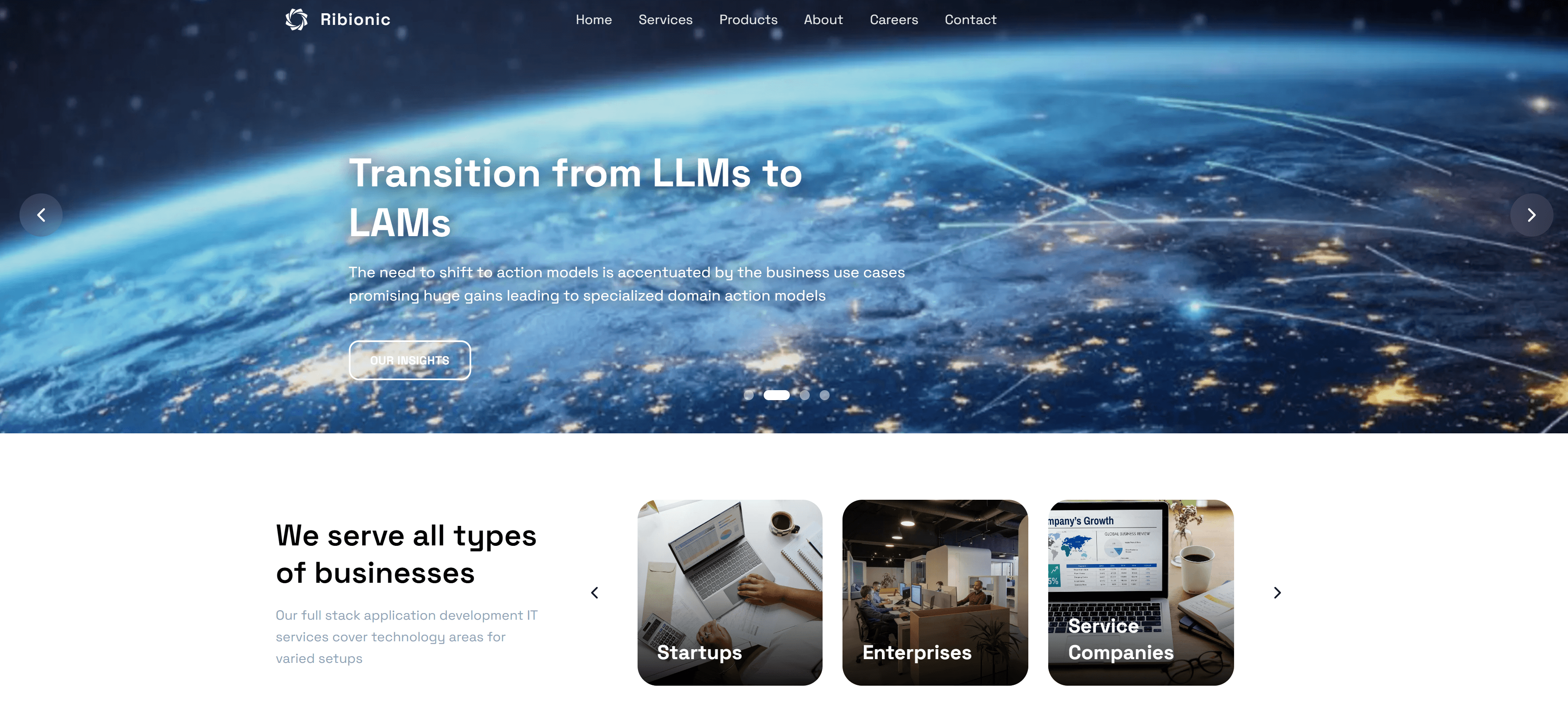 Ribionic Corporate Website